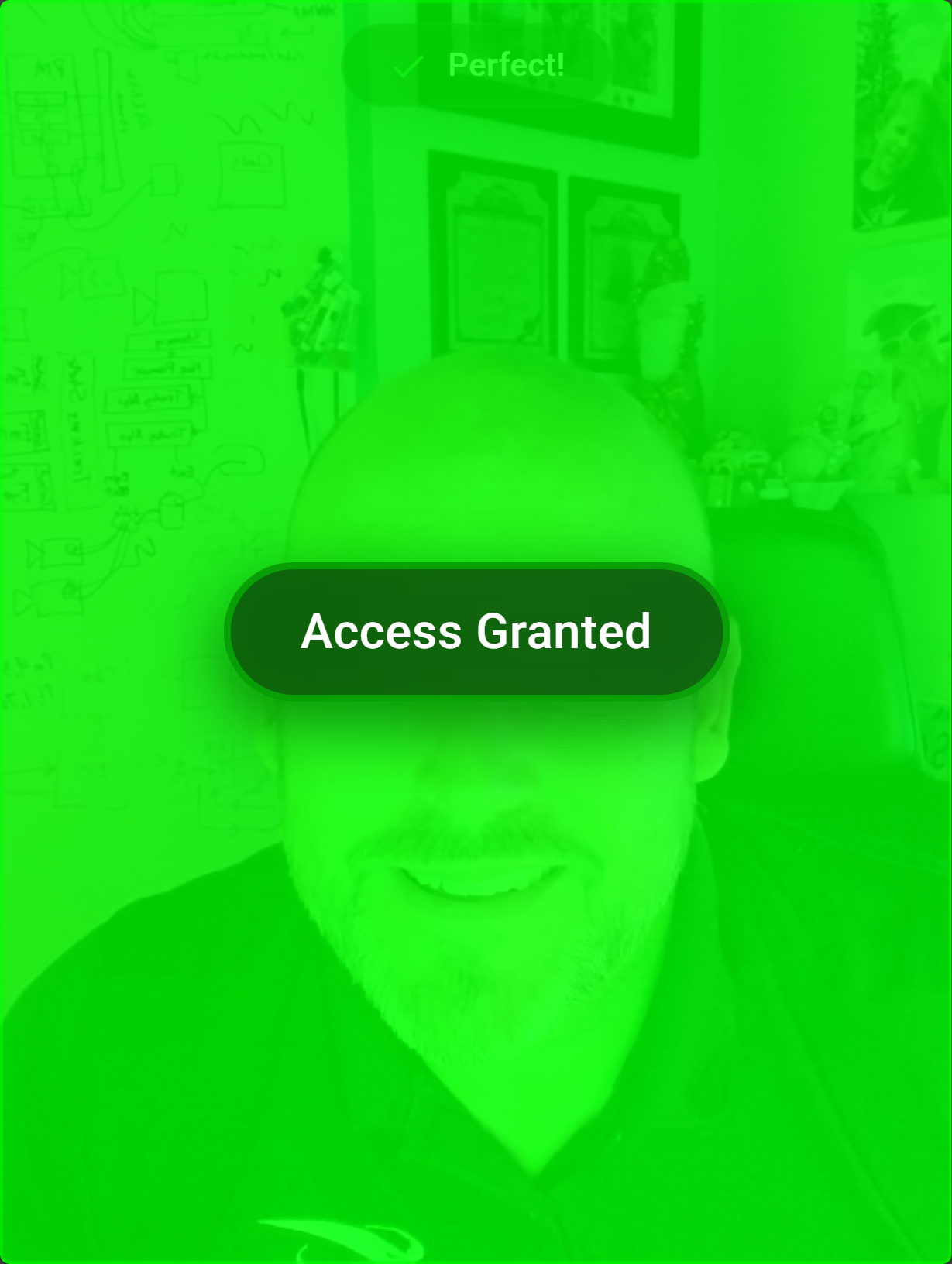 Face Verify green-light welcome screen