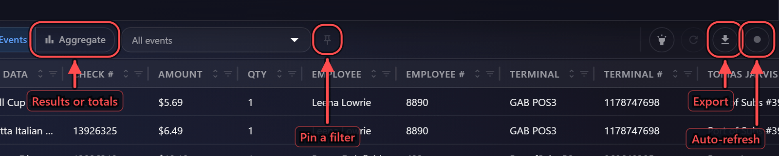 The grid header with the Results and Aggregate toggle, the filter pin, export and auto-refresh named