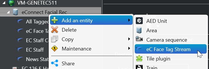 eC Face Stream Object